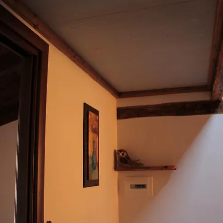Holiday home Casa S' Alzolitta