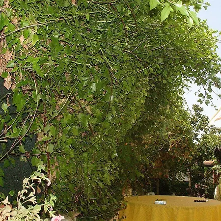 Casa S' Alzolitta بيت للعطل